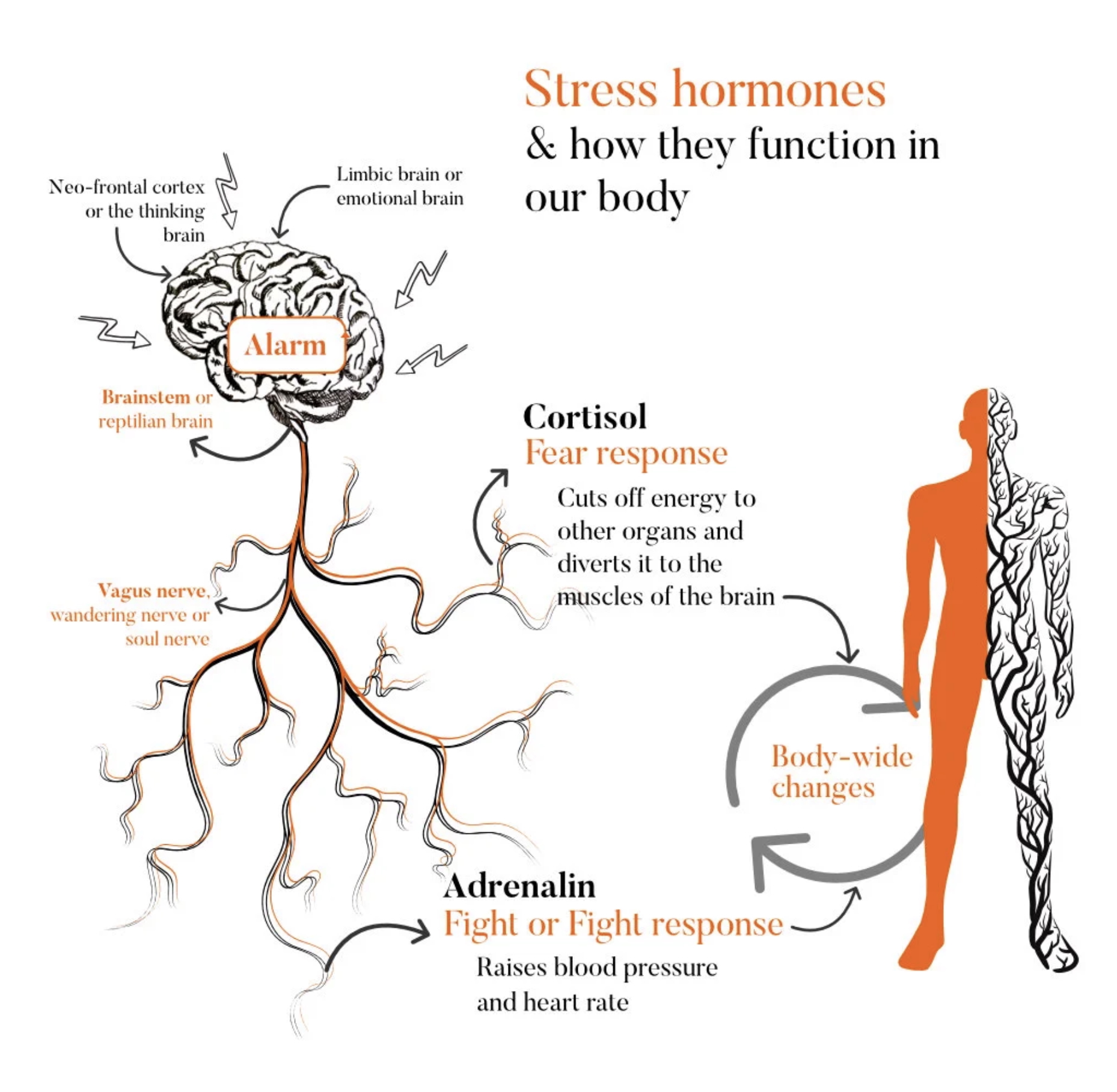 Coaching Raum Ludwigsburg – entspannte Atmosphäre